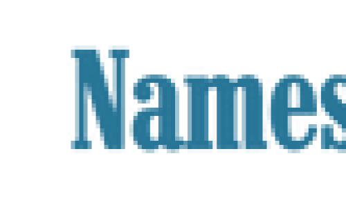 NamesFrog.com-Logo-2-1